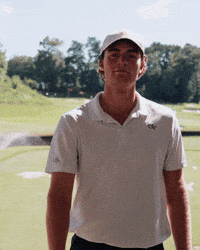 Stingem GIF by Georgia Tech Yellow Jackets