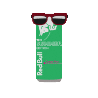 Fun Summer Sticker by Red Bull