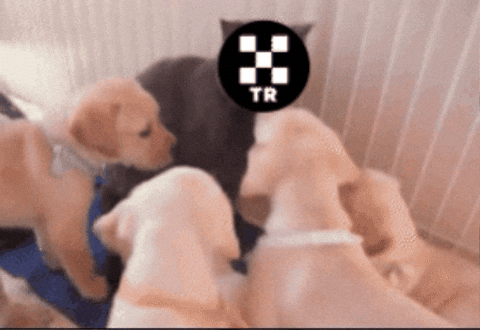 Hugging Love GIF by OKX TR