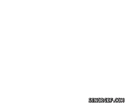 Movie gif. Arsenio Hall as Semmi in Coming to America opens a door smiling and then screams and slams the door when he realizes who is there.