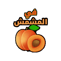 Apricot Fruites Sticker by Jawal Games