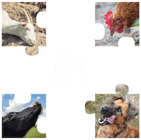 Vegan Puzzle Sticker by Fundacja Viva!