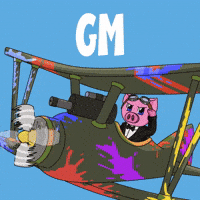 Good Morning Hello GIF by Piggyverse