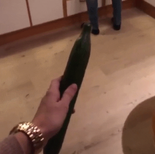 hipster cucumber GIF