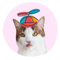 KoshPush loading dummie koshpush Sticker