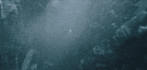 Chase Hunt GIF by Larian Studios