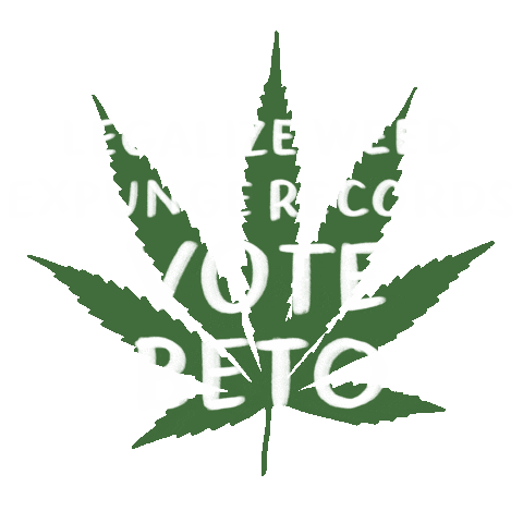 Digital art gif. Green marijuana leaf with a message in white marker font, "Legalize weed, expunge records, Vote Beto."