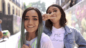 razeofficial calle y poche GIF by RAZE