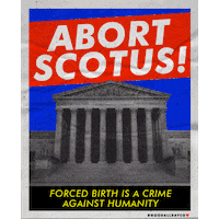 Womens Rights Fight GIF by GOOD ALL DAY COLLECTIVE