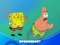 season 5 GIF by SpongeBob SquarePants