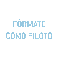Piloto Aire Sticker by VirtualFly