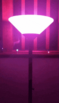 EmzBlendz cat color light GIF