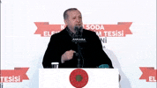 Recep Tayyip Erdogan GIF by euronews