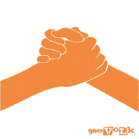 Goeivolk Newman Sticker by MDT Goeivolk