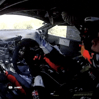 Motorsport Driving GIF by FIA World Rally Championship