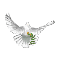 noahsvrkofficial animal paloma noahs vrk Sticker