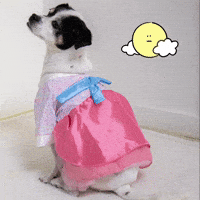 Korean GIF