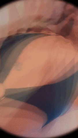 fpslace giphyupload GIF