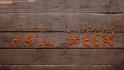 Halloween Pumpkin GIF by Jugendleiter-Blog