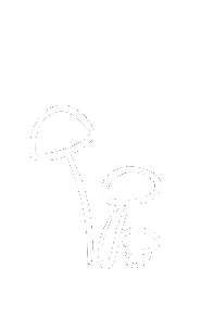 Blanc Champignons Sticker