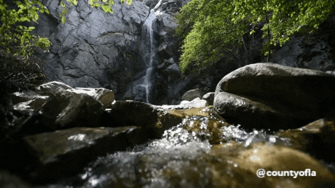 CountyofLA giphygifmaker nature water california GIF