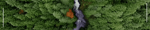 WiConnect giphyupload GIF