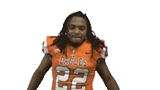 Cnfb Sticker by Carson-Newman Athletics