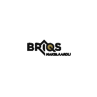 BRIQSMakelaardij deventer briqs Sticker