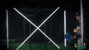 Tulane Rollwave GIF by GreenWave