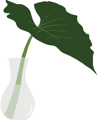 Illustration Plant Sticker