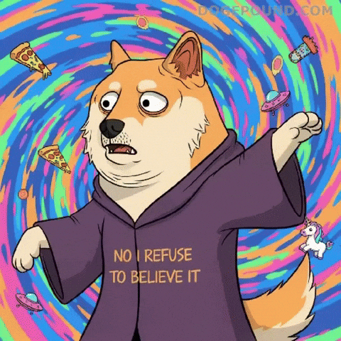 Shiba Inu No GIF by Doge Pound