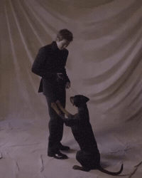 Behind The Scenes Puppy GIF