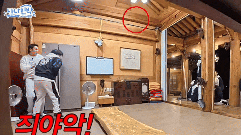 Scared Kim Mingyu GIF