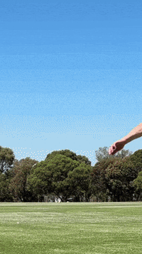 Mr Simple Flip GIF