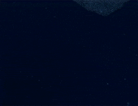 bebby squids GIF by Digg