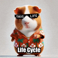 Savor Life Cycle GIF by Guinea Gambino