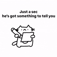 Cat Youre Cute GIF