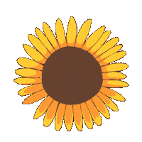 Summer Flower Sticker by Bath & Body Works
