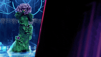 Fox GIF by The Masked Singer