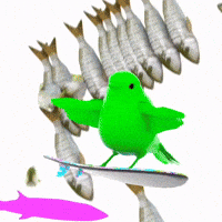 Fish Surfing GIF