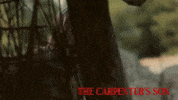 Nicolas Cage Jesus GIF by Magnolia Pictures
