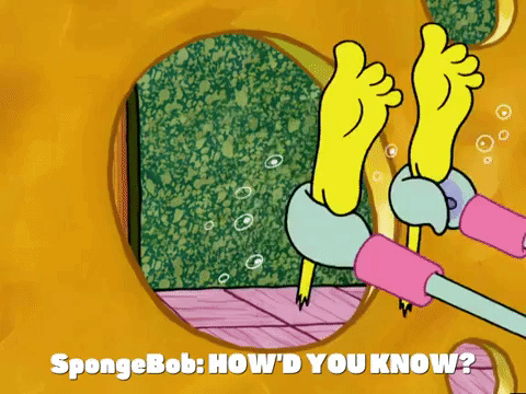 season 5 GIF by SpongeBob SquarePants