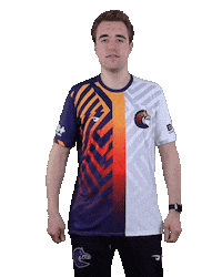 Esports Zebra Sticker by BS+COMPETITION