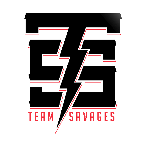 savagelifestyle money boxing savage sl Sticker