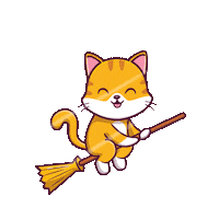 Cat Gym Sticker by CATECOIN