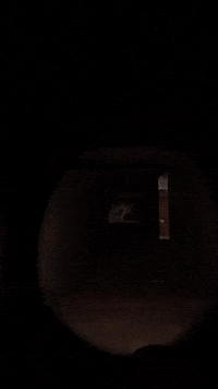 Chica Freddy GIF by Youtooz
