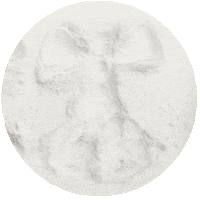 Snow Angels Country Sticker by Sam Williams