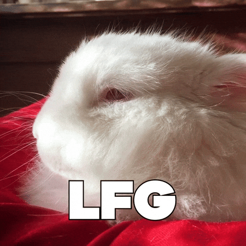 Excited Lets Go GIF by Sealed With A GIF