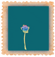 Flower Power GIF by Nitaynamas
