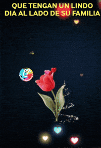 Dia Flores GIF by Murcianys LLC